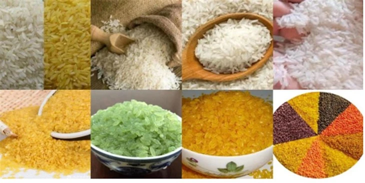 Instant Nutrition Rice Extruder Machine