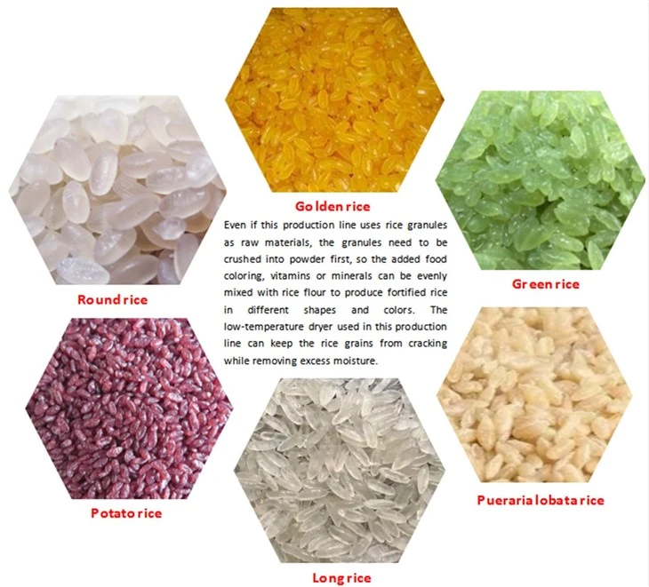 Fortified Rice Making Machine Processing Line