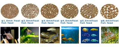 Floating Shrimp Feed Extruder