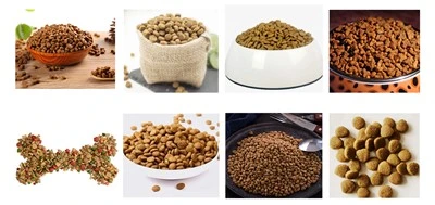 Production Line For Dog Dry Food