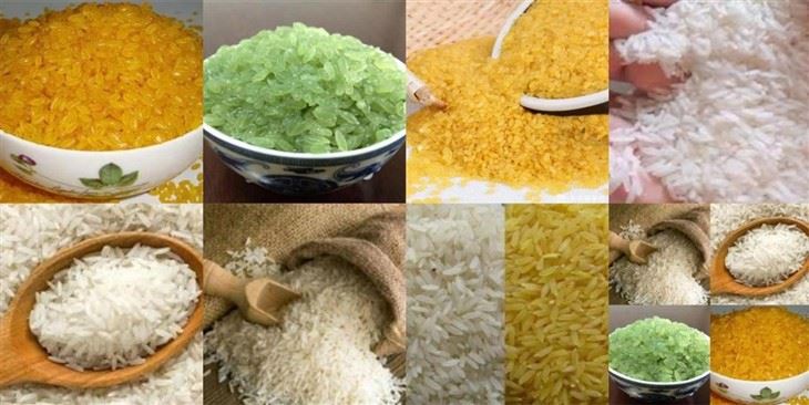 Artificial Rices Production Machine