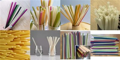 Rice Straws Processing Line
